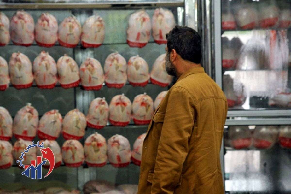مرغ ارزان می‌شود