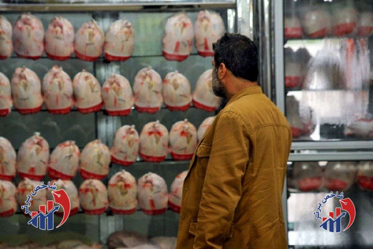 مرغ دولتی با قیمت فضایی!
