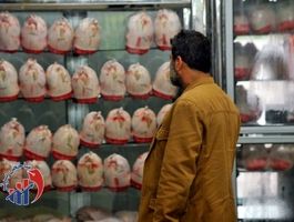 مرغ دولتی با قیمت فضایی!