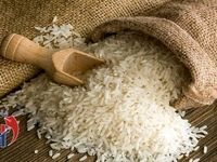 قیمت برنج هندی و پاکستانی برای امروز اعلام شد - ۲۰ مهر ۱۴۰۴