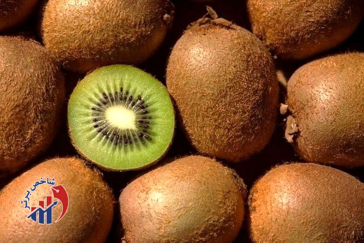 صادرات بیش از ۵ هزار تن کیوی از گیلان